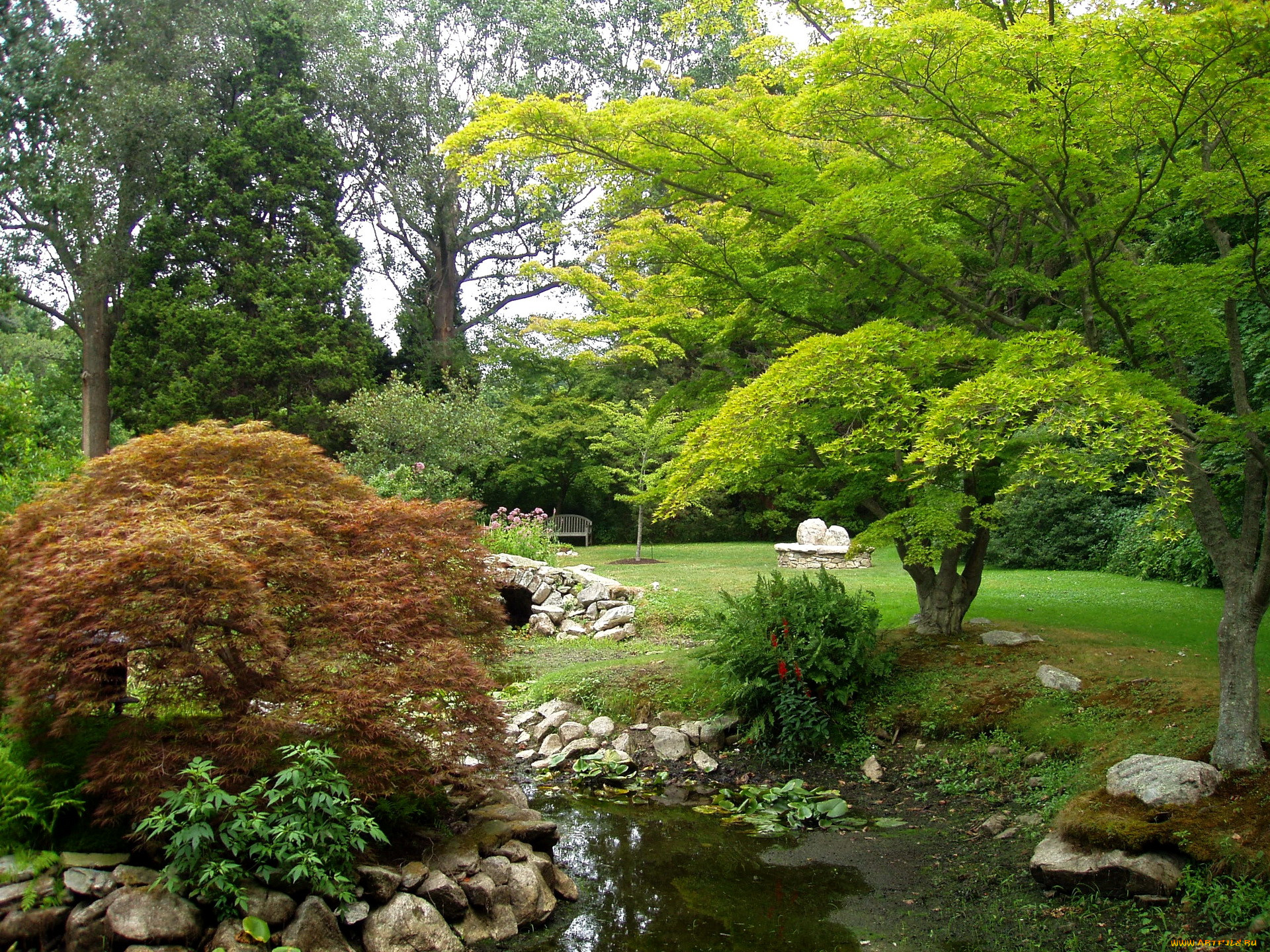 water, garden, , blithewold, , , , , , 